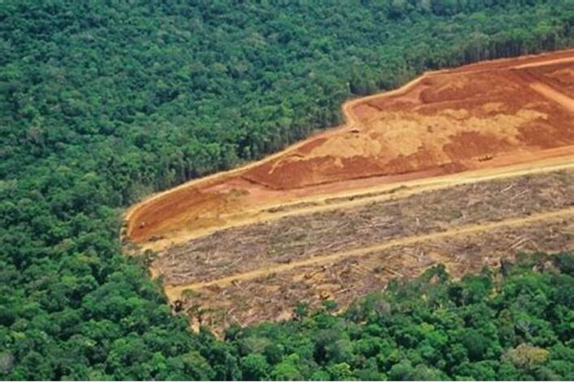 OMONDO AMÉRIQUE LATINE - Brésil : Lula face au défi de la déforestation en Amazonie